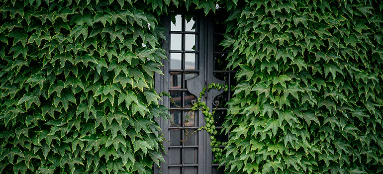 Garden Gate Repair in West Pensacola, FL