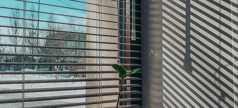 Commercial Window Blinds in West Pensacola, FL