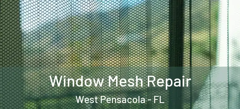  Window Mesh Repair West Pensacola - FL
