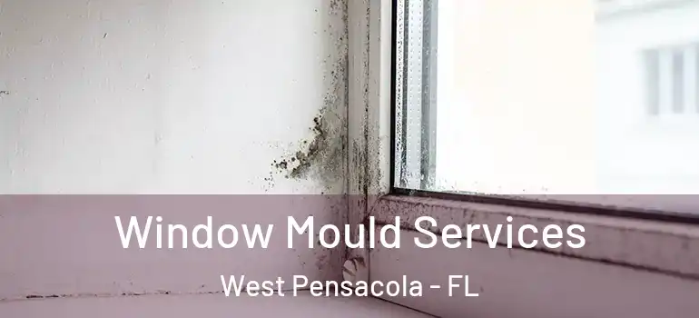  Window Mould Services West Pensacola - FL